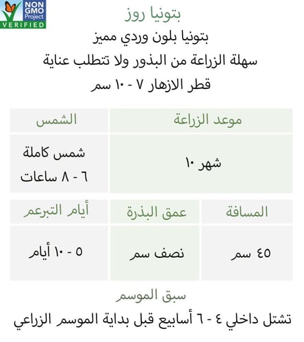 بذور بتونيا روز - Petunia Seeds - Daddy Series Sug...