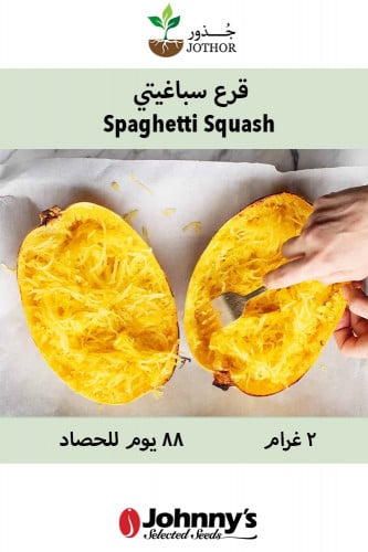 بذور قرع سباغيتي - Spaghetti Squash Seeds