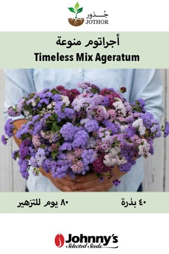 بذور اجراتوم منوعة - Timeless Mix Ageratum Seed