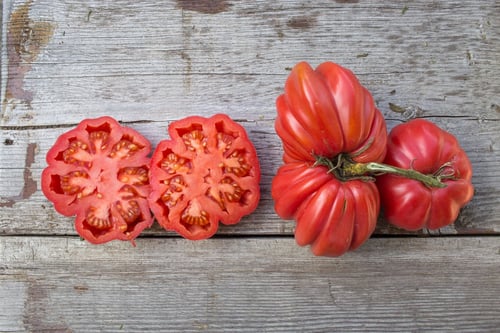 بذور طماطم زابوتيك المضلع - Tomato Zapotec Oaxacan...