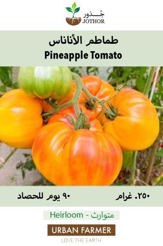 بذور طماطم الاناناس - Pineapple Tomato Seeds
