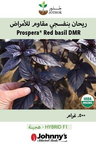 بذور ريحان بنفسجي مقاوم للأمراض - PROSPERA® RED DM...