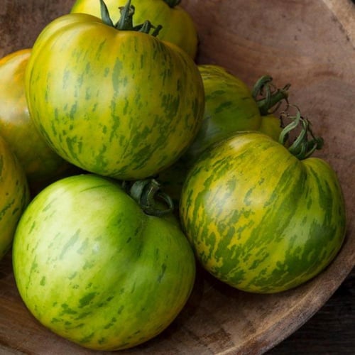 بذور طماطم زيبرا الأخضر - Green Zebra Tomato Seeds