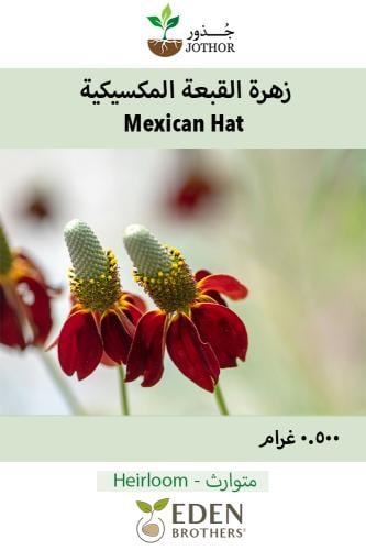 بذور زهرة القبعة المكسيكية - Mexican Hat Seeds