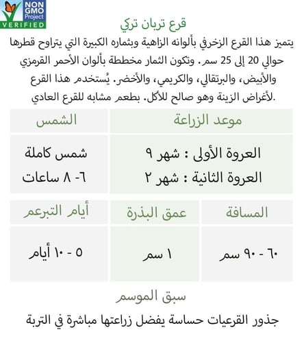 بذور قرع تربان تركي - Gourds Seeds - Turks Turban