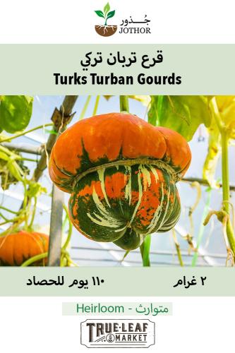 بذور قرع تربان تركي - Gourds Seeds - Turks Turban