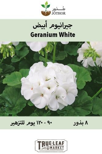 بذور جيرانيوم ابيض - White Geranium Seeds