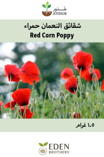 بذور شقائق النعمان حمراء - Red Corn Poppy Seeds