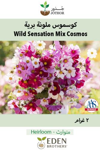 بذور كوسموس ملونة - Sensation Mix Cosmos Seeds