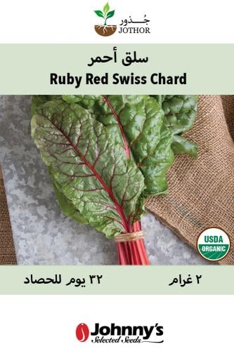 بذور سلق أحمر عضوي - Ruby Red Swiss Chard Seeds