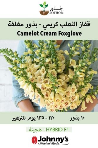 بذور قفاز الثعلب كريمي - بذور مغلفة - Camelot Crea...