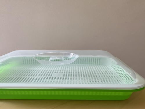 صينية زراعة المايكروجرينز مع غطاء - Microgreen Tra...
