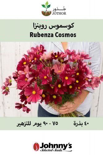 بذور كوسموس روبنزا - Rubenza Cosmos Seeds