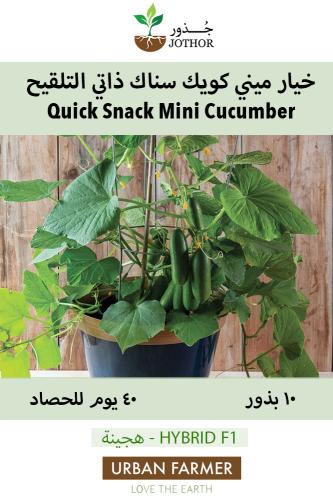 بذور خيار كويك سناك ذاتي التلقيح - Quick Snack Min...