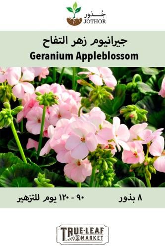 بذور جيرانيوم زهر التفاح - Appleblossom Geranium S...