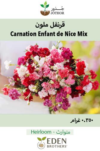 بذور قرنفل ملون - Enfant de Nice Mix Carnation See...