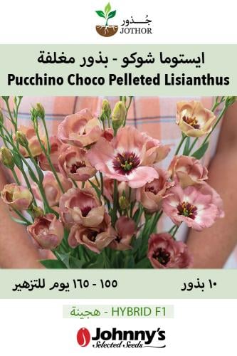 بذور ايستوما شوكو - بذور مغلفة - Pucchino Choco 3...