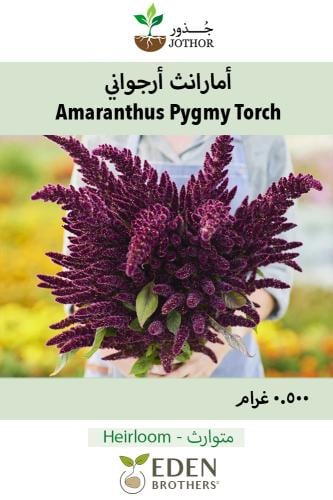 بذور امارانث ارجواني - Amaranthus Pygmy Torch Seed...