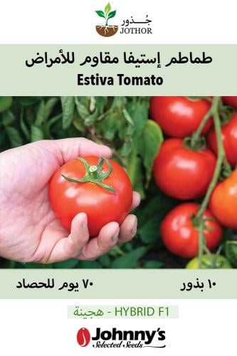 بذور طماطم استيفيا - Estiva (F1) Tomato Seed