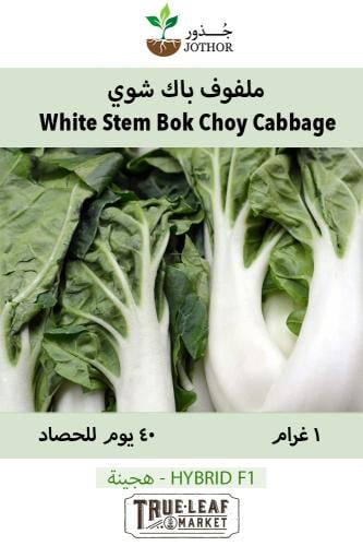 بذور باك شوي - White Stem Pak Choi Cabbage Seeds