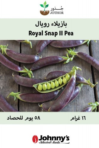 بذور بازيلاء رويال - Royal Snap II Pea Seed
