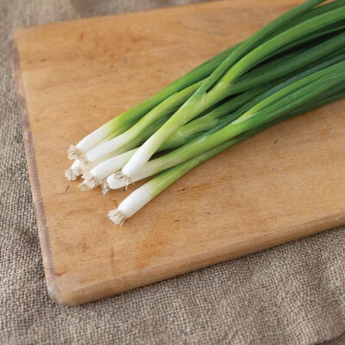 بصل أبيض طويل - Bunching - Tokyo Long White Onion...