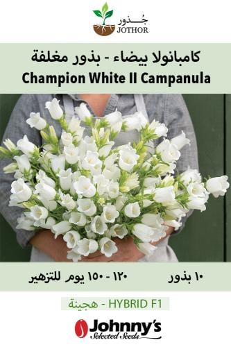 كامبنولا أبيض - بذور مغلفة - Champion White Pellet...