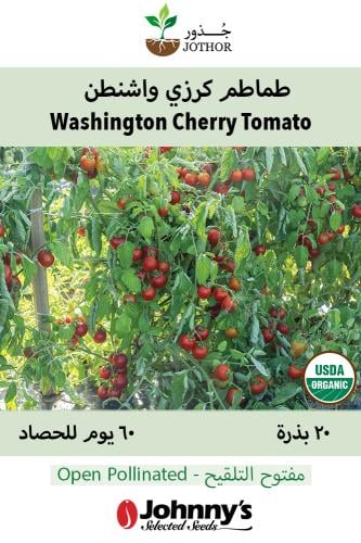 بذور طماطم واشنطون كرزي - Washington Cherry Organic Tomato Seed