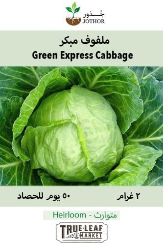 بذور ملفوف مبكر - Cabbage Copenhagen Market Seeds