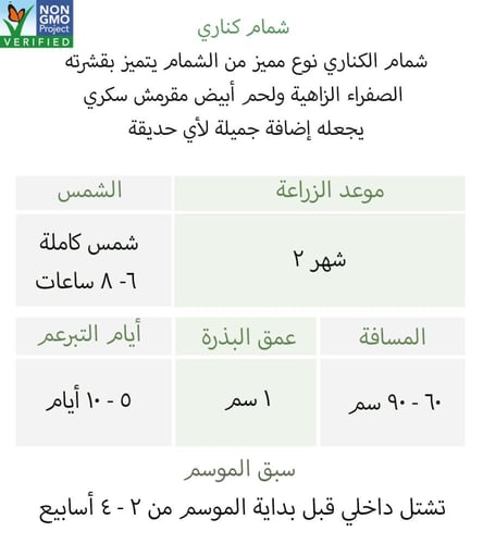 بذور شمام كناري - Cnary melon Seeds