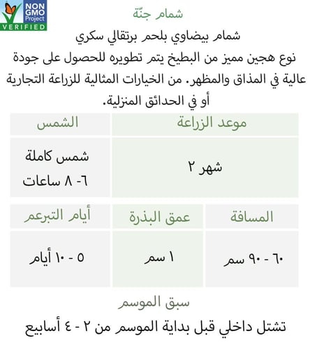 بذور شمام منجاوي جنة - Janna Melon Seeds