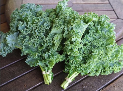 بذور كيل مجعد - Kale Vates Blue Scotch Curled Seed...