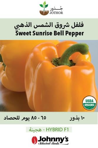 بذور فلفل شروق الشمس الذهبي - Sweet Sunrise Organic (F1) Bell Pepper Seed