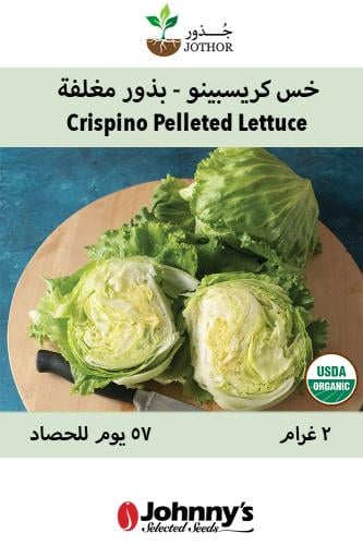 بذور خس كرسبينو بذور مغلفة - Crispino Lettuce Seed...