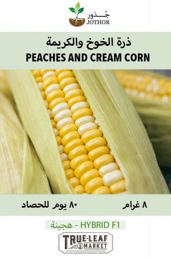 بذور ذرة الخوخ والكريمة - Corn (se) Peaches and Cr...