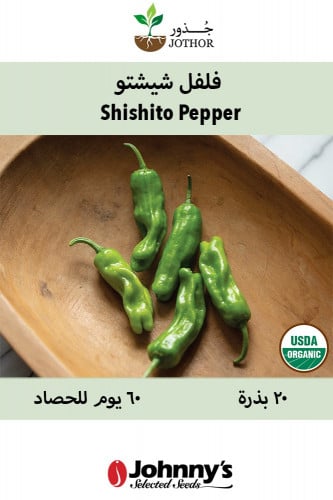 بذور فلفل شيشتو عضوي - Shishito pepper Seeds