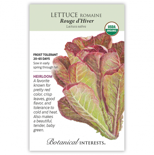 بذور خس روماني روجر عضوي - Lettuce Romaine Rouge d...