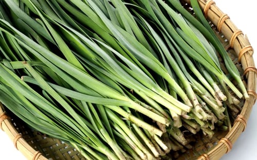 بذور ثوم معمر - Garlic Chives Seeds