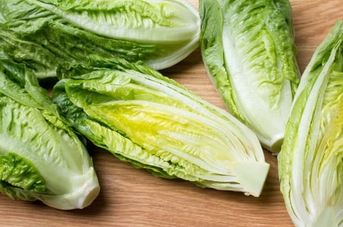 بذور خس سن لاند - Sunland Lettuce Seeds