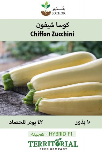 بذور كوسا شيفون - Chiffon Zucchini Seeds