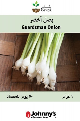 بذور بصل أخضر مبكر - Guardsman Onion Seeds
