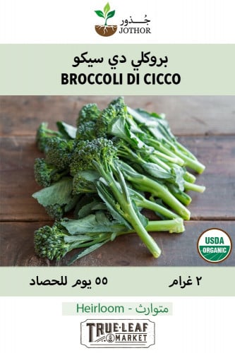 بذور بروكلي دي سيكو - Broccoli Di Cicco Seed