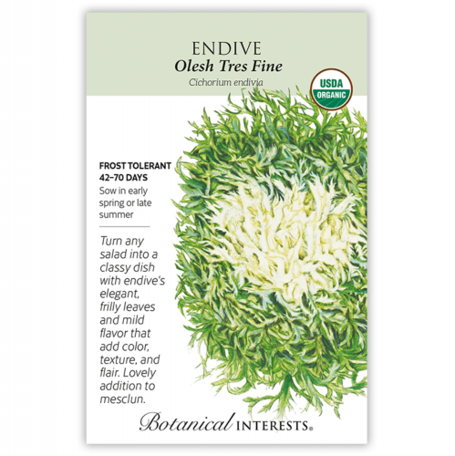بذور انديف - Endive Olesh Tres Fine Seeds