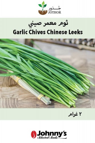 بذور ثوم معمر - Garlic Chives Seeds