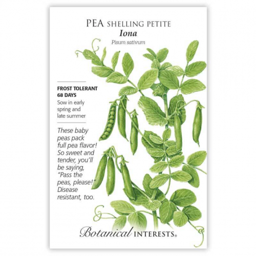 بذور بازيلاء لونا - Iona Shelling Petite Pea Seed