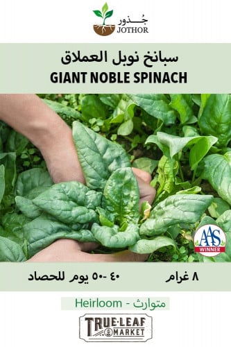 بذور سبانخ نوبل العملاق - Spinach Giant Noble Seed...