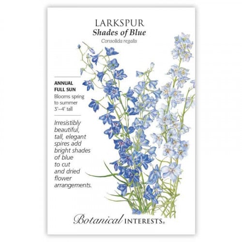 بذور زهور الظل - Larkspur Shades of Blue Seeds