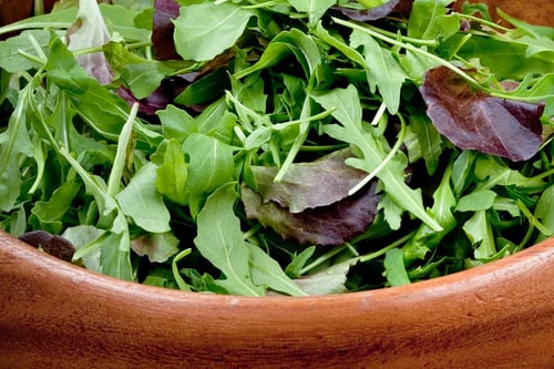 بذور ورقيات منوعة - Lettuce Mixed Greens Mesclun M...