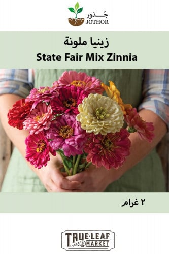 بذور زينيا ستايت فاير الملونة - State Fair Mix Zin...