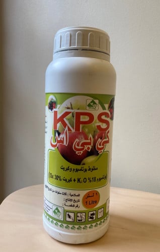 كي بي اس KPS